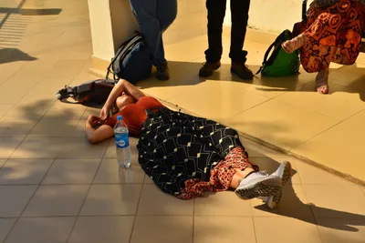 DSC_4606 (Large).JPG